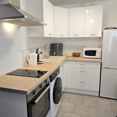 T2 Du Sanctuaire 400 M De La Grotte Wifi Tv * לורדה